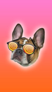 Chico with x-ray specs wallpaper