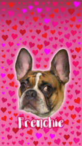 Frenchie Love wallpaper